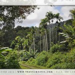 srilankabestereisezeit