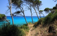 Beste Reisezeit Mallorca