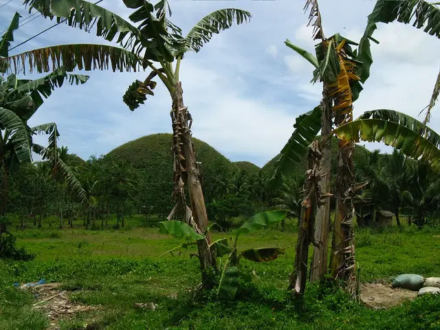 Beste Reisezeit Philippinen: Reisezeit & Klima für die Philippinen
